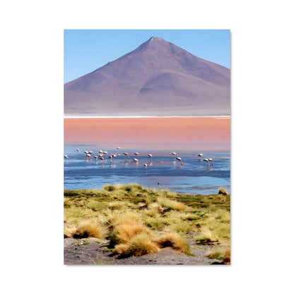 Poster Flamants de Bolivie