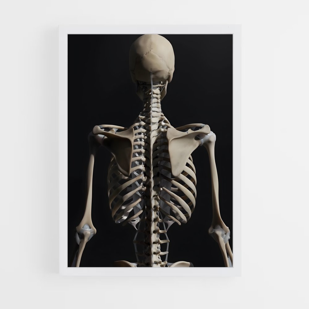 ap-bone-3 cadre Blanc