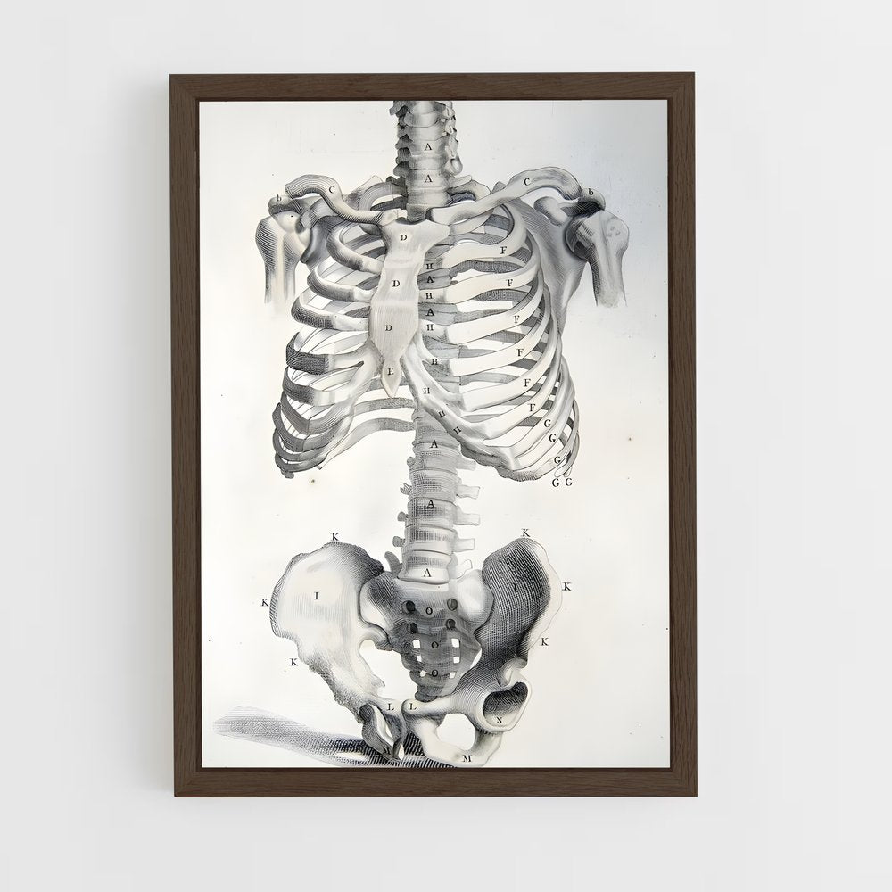 ap-bone-4 cadre Bois foncé