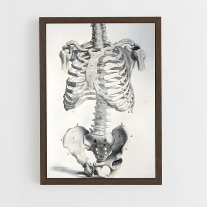 ap-bone-4 cadre Bois foncé