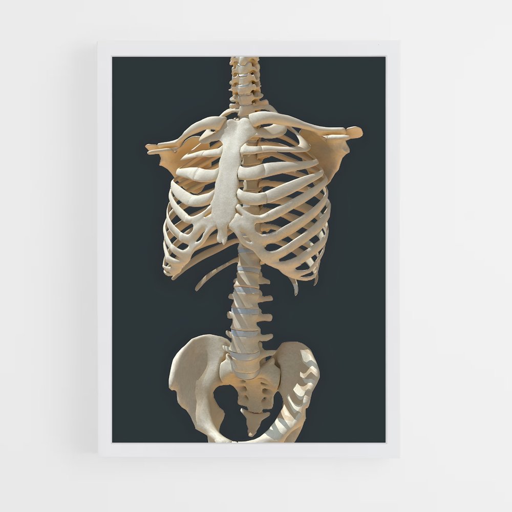 ap-bone-5 cadre Blanc