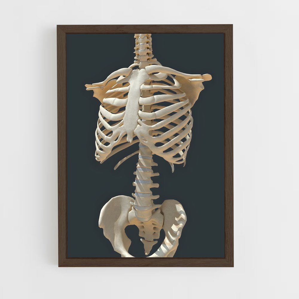 ap-bone-5 cadre Bois foncé