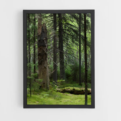 ap-boreal forest-8 cadre Noir