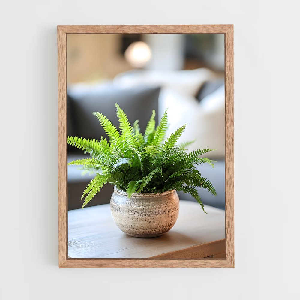ap-boston fern-1 cadre Bois clair