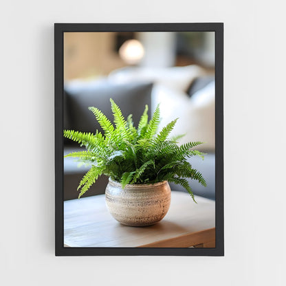 ap-boston fern-1 cadre Noir