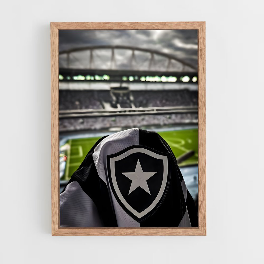 ap-botafogo de futebol e regatas-3 cadre Bois clair