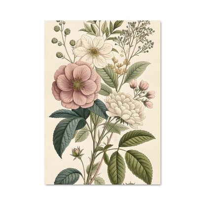Poster Botanical 20266