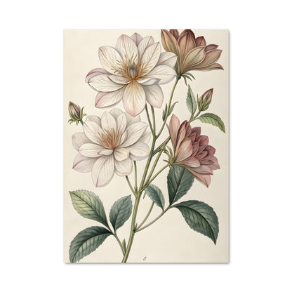 Poster Botanical 20262