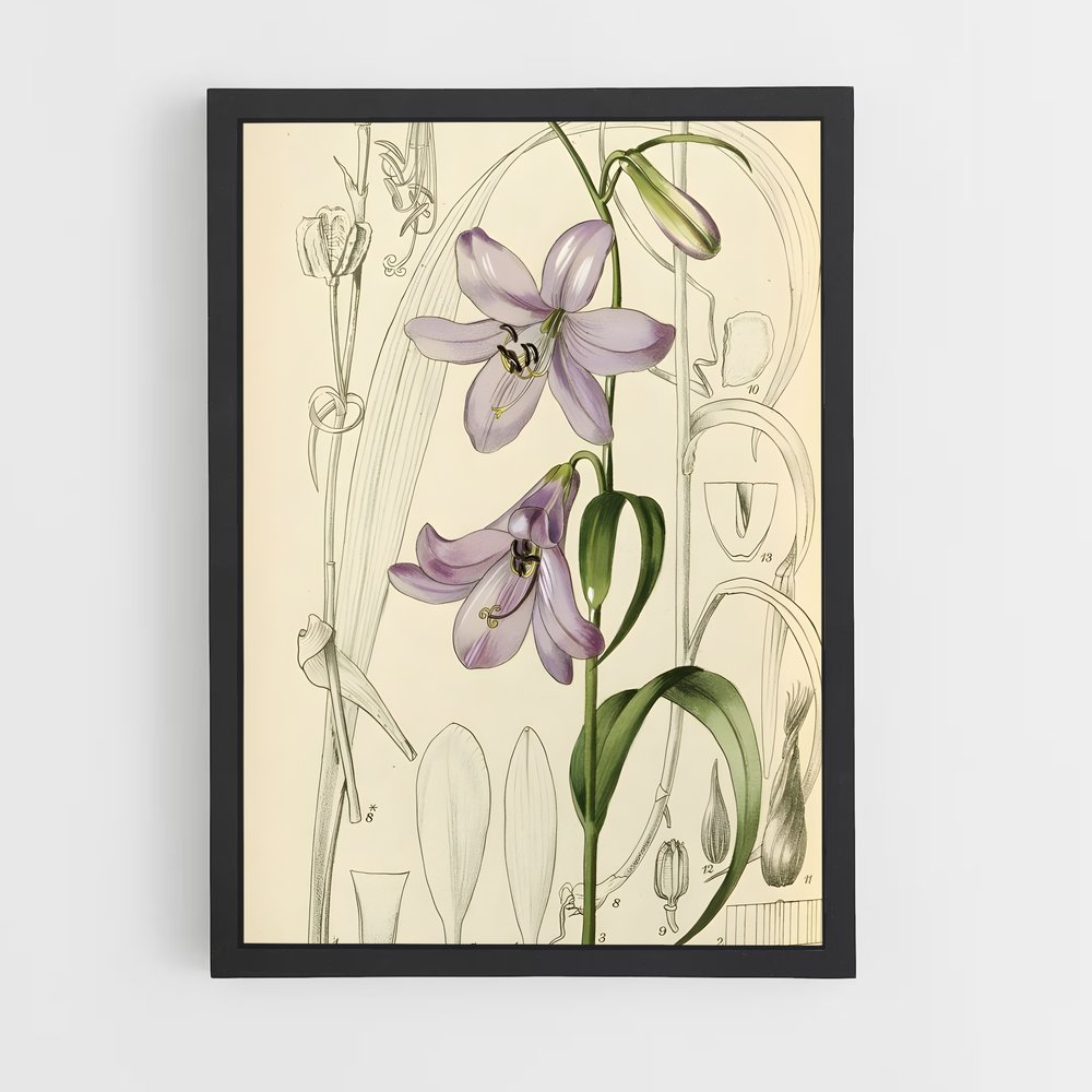 ap-botanical-9 cadre Noir
