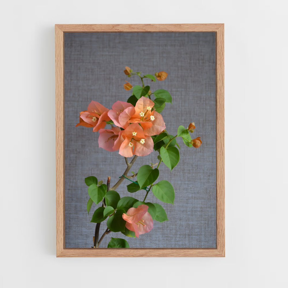 ap-bougainvillea-1 cadre Bois clair