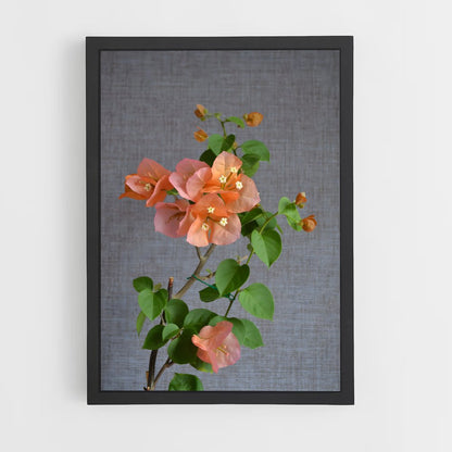 ap-bougainvillea-1 cadre Noir