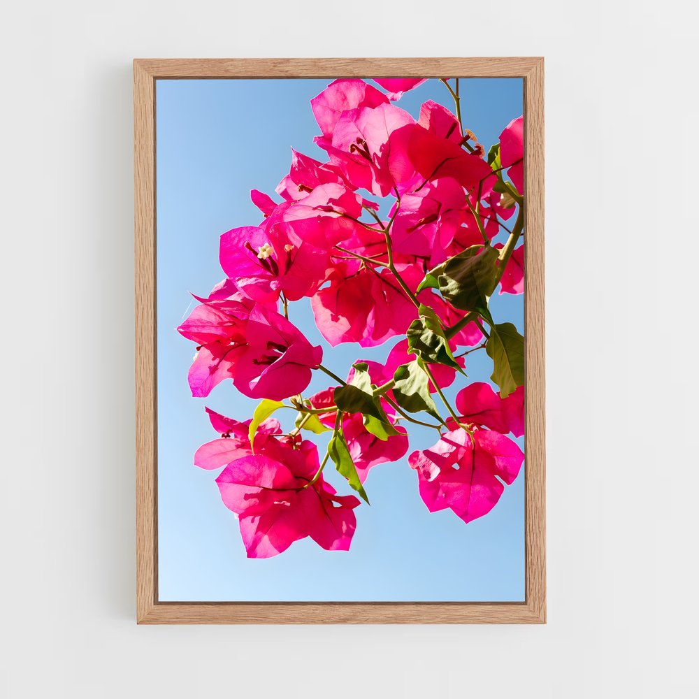 ap-bougainvillea-2 cadre Bois clair