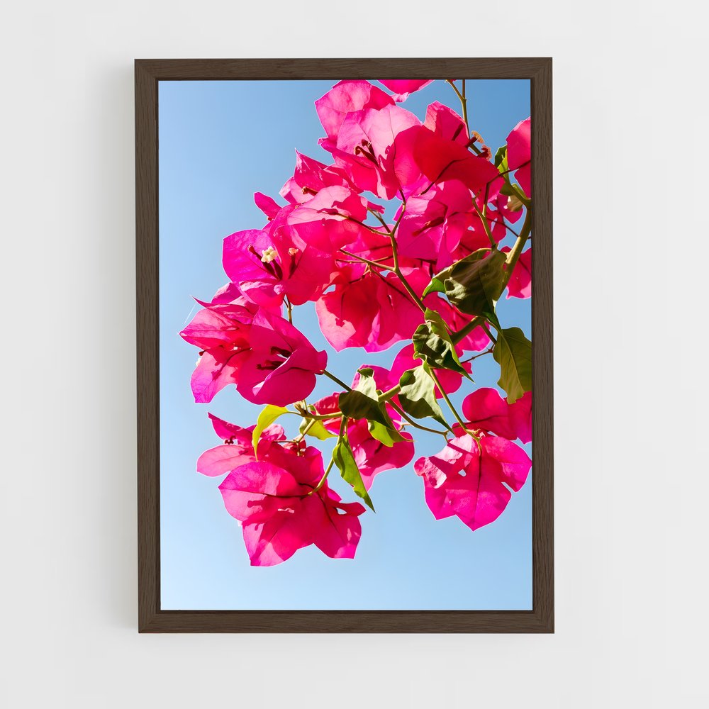 ap-bougainvillea-2 cadre Bois foncé