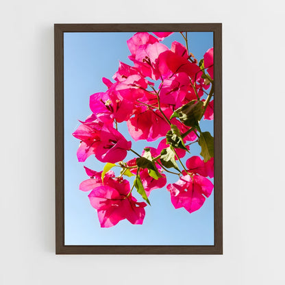 ap-bougainvillea-2 cadre Bois foncé
