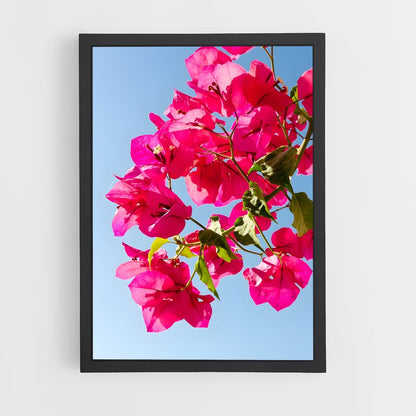 ap-bougainvillea-2 cadre Noir