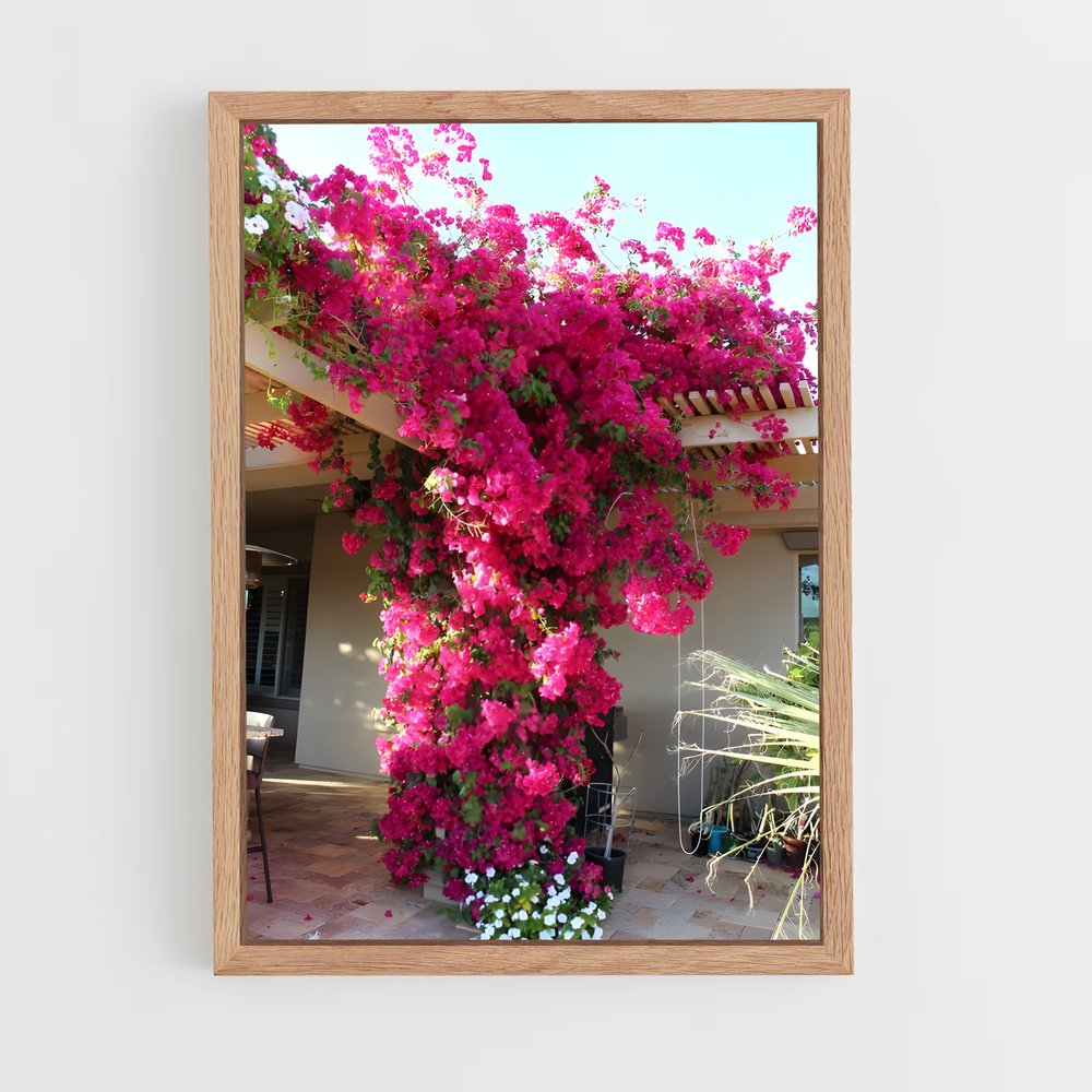 ap-bougainvillea-3 cadre Bois clair