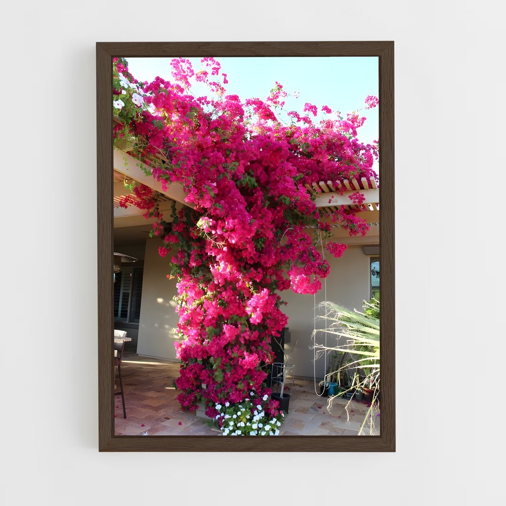 ap-bougainvillea-3 cadre Bois foncé