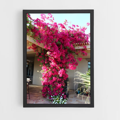 ap-bougainvillea-3 cadre Noir