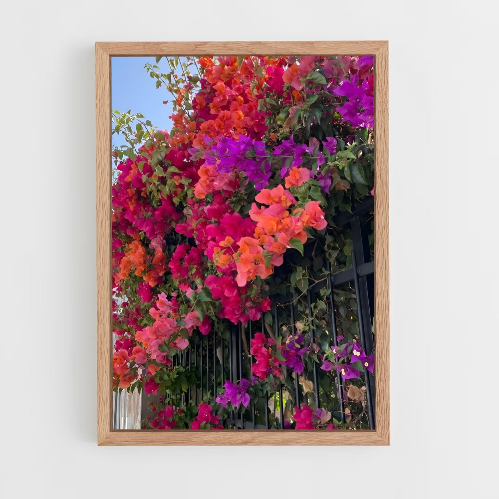 ap-bougainvillea-4 cadre Bois clair