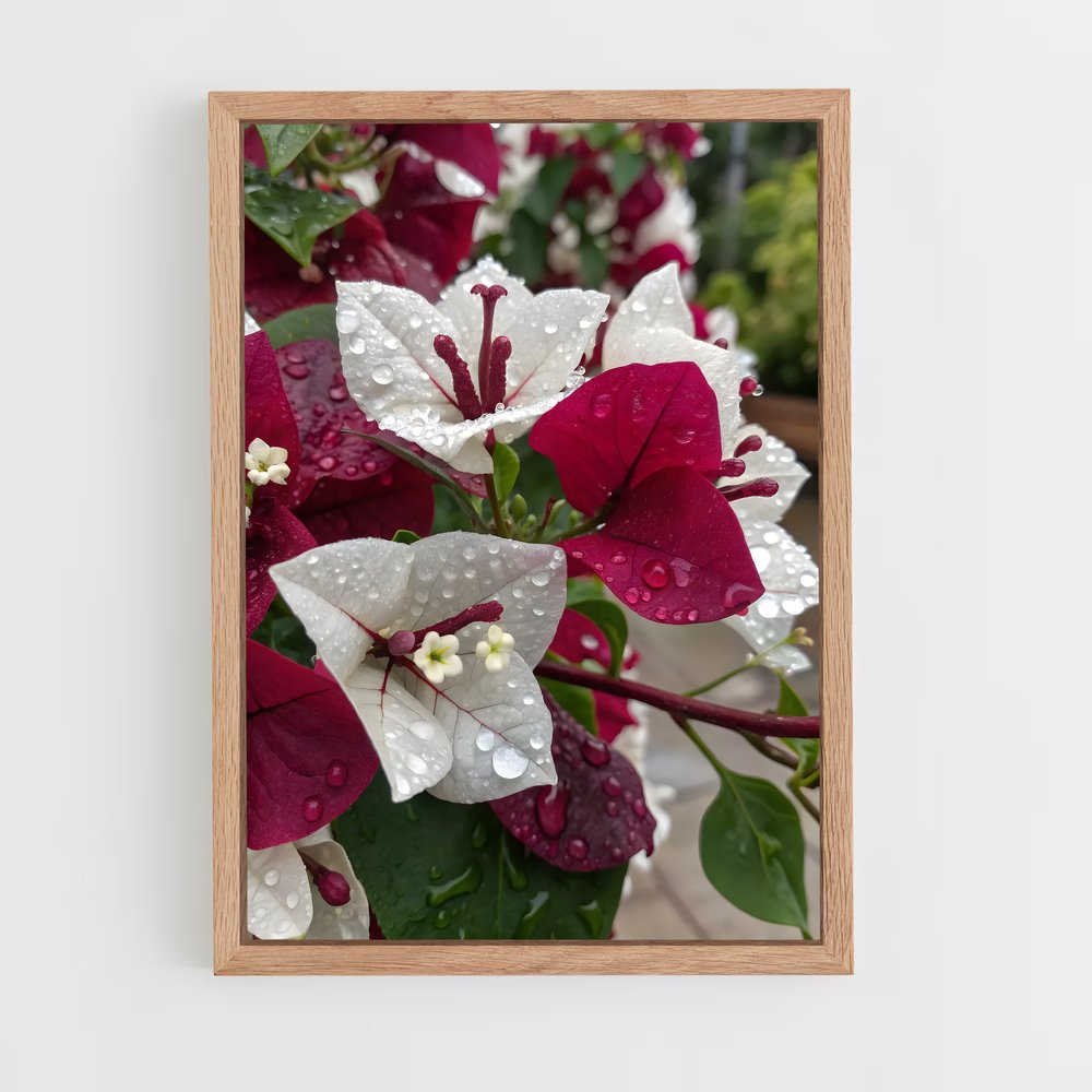 ap-bougainvillea-5 cadre Bois clair