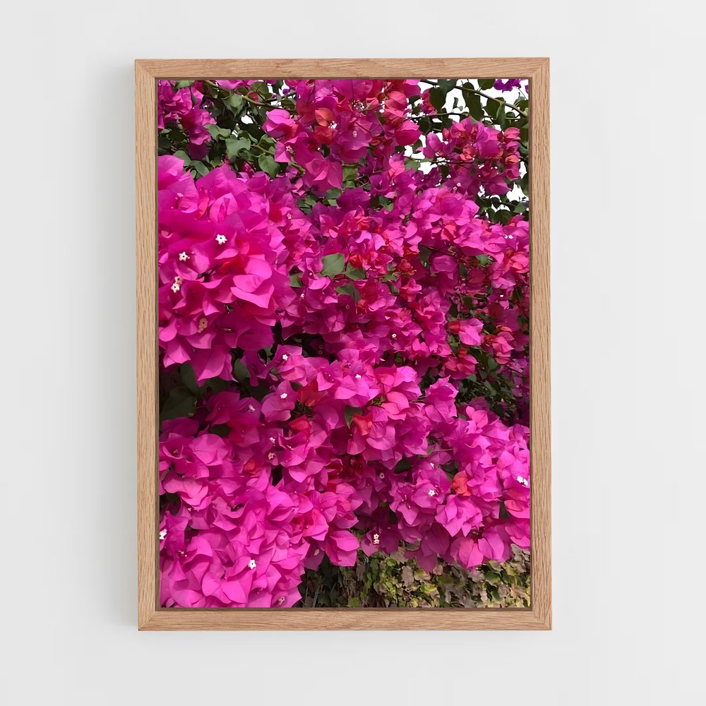 ap-bougainvillea-6 cadre Bois clair