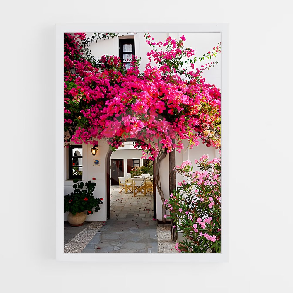 ap-bougainvillea-7 cadre Blanc