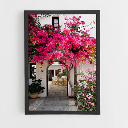 ap-bougainvillea-7 cadre Noir