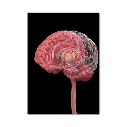 Poster Cerveau en Éveil