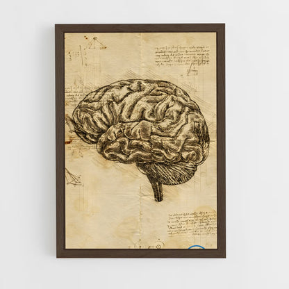 ap-brain anatomy-3 cadre Bois foncé