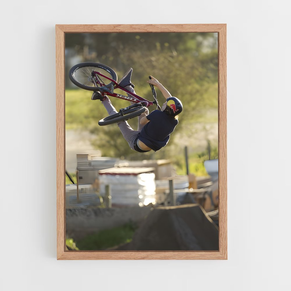 ap-brandon semenuk-11 cadre Bois clair