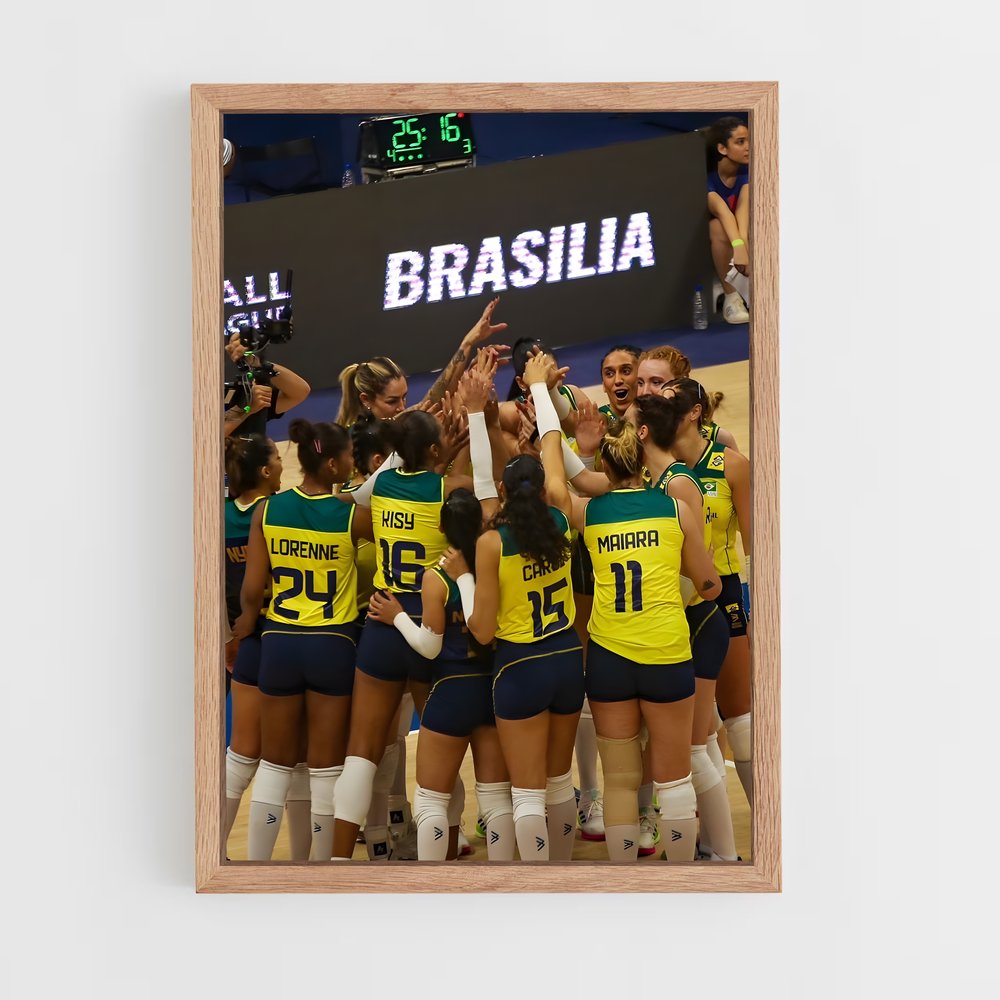 ap-brazil national volleyball team-1 cadre Bois clair