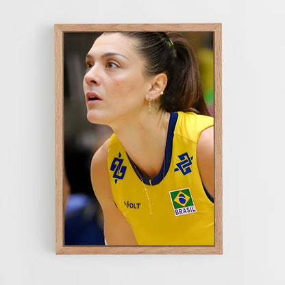 ap-brazil national volleyball team-2 cadre Bois clair
