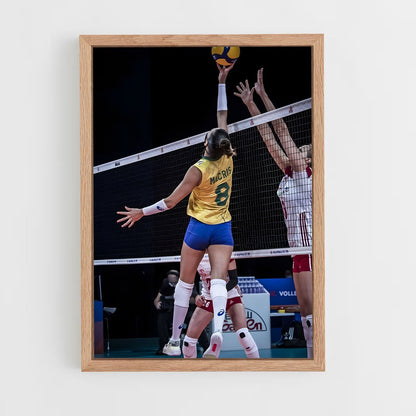 ap-brazil national volleyball team-3 cadre Bois clair