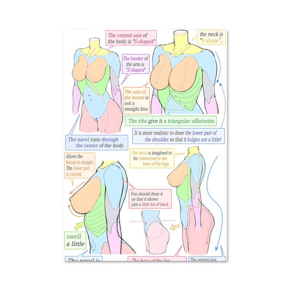 Poster Anatomie et Beauté