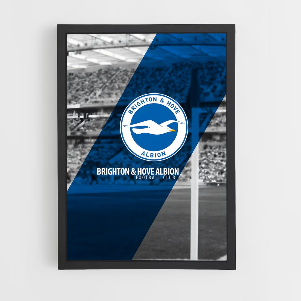 ap-brighton hove albion fc-2 cadre Noir