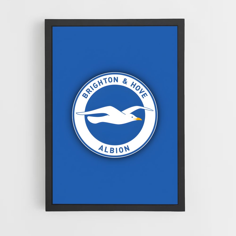 ap-brighton hove albion fc-6 cadre Noir