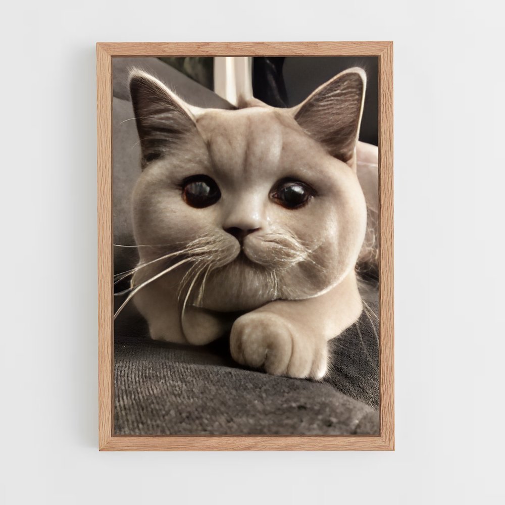 ap-british shorthair-3 cadre Bois clair