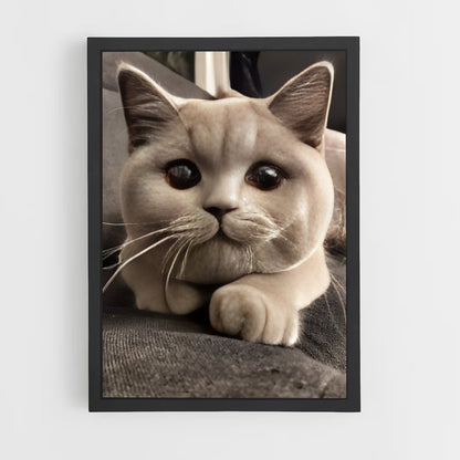 ap-british shorthair-3 cadre Noir