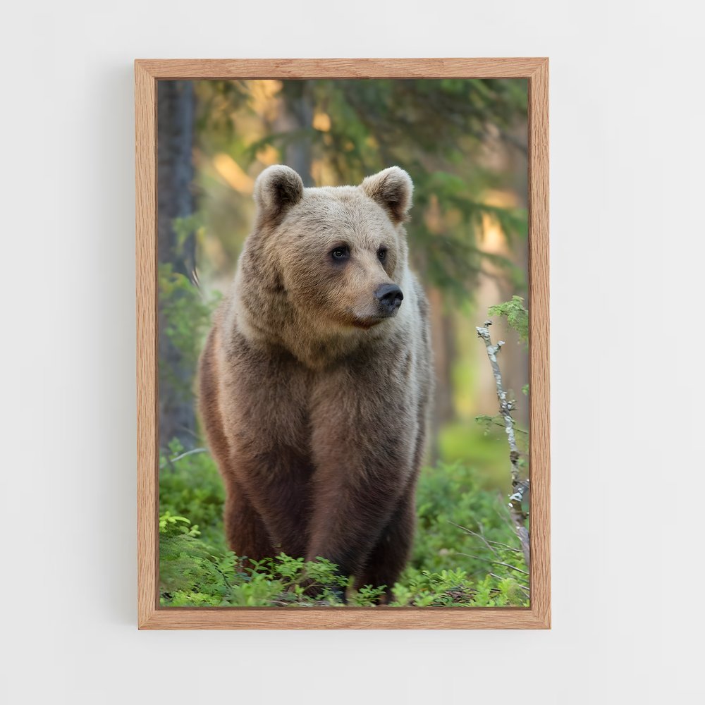 ap-brown bear-3 cadre Bois clair