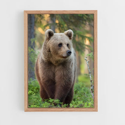 ap-brown bear-3 cadre Bois clair