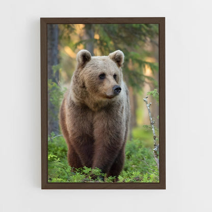 ap-brown bear-3 cadre Bois foncé