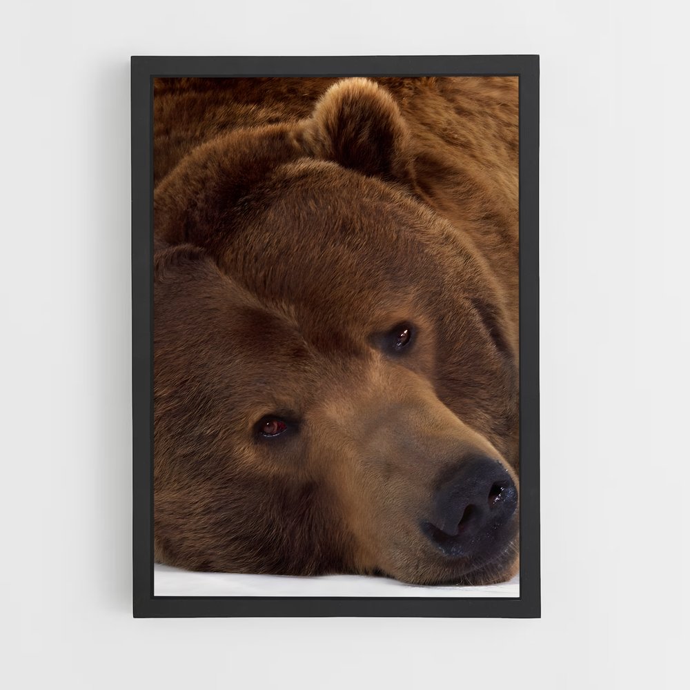 ap-brown bear-4 cadre Noir