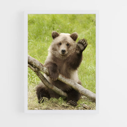 ap-brown bear-7 cadre Blanc