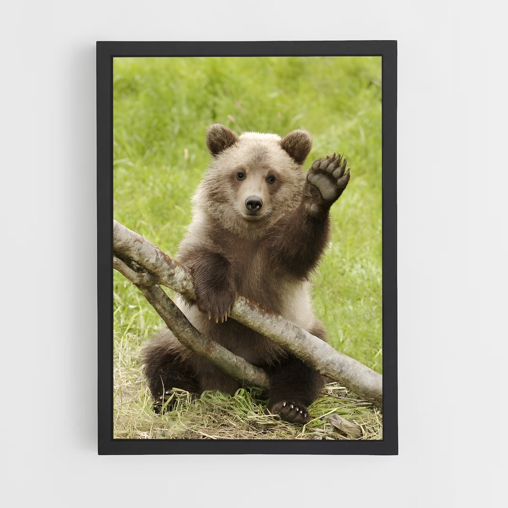 ap-brown bear-7 cadre Noir