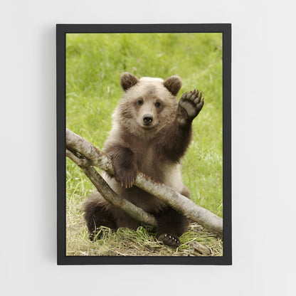 ap-brown bear-7 cadre Noir