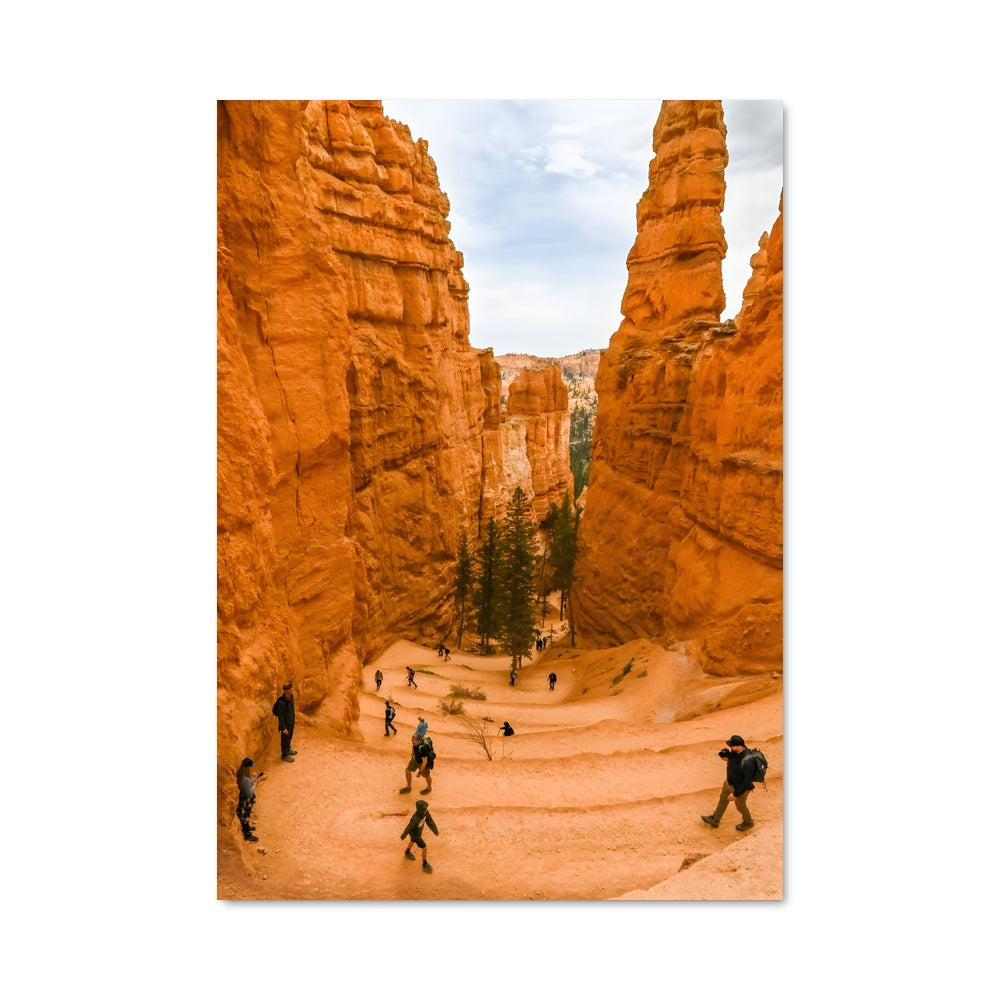 Poster Sentiers de Bryce