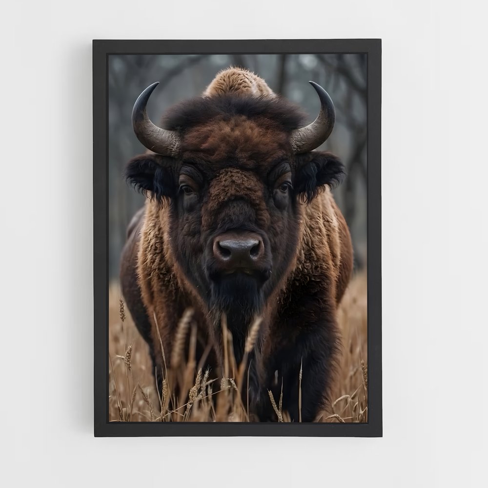 ap-buffalo-2 cadre Noir