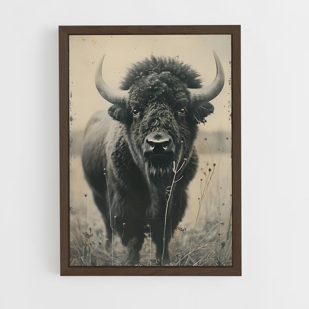 ap-buffalo-3 cadre Bois foncé