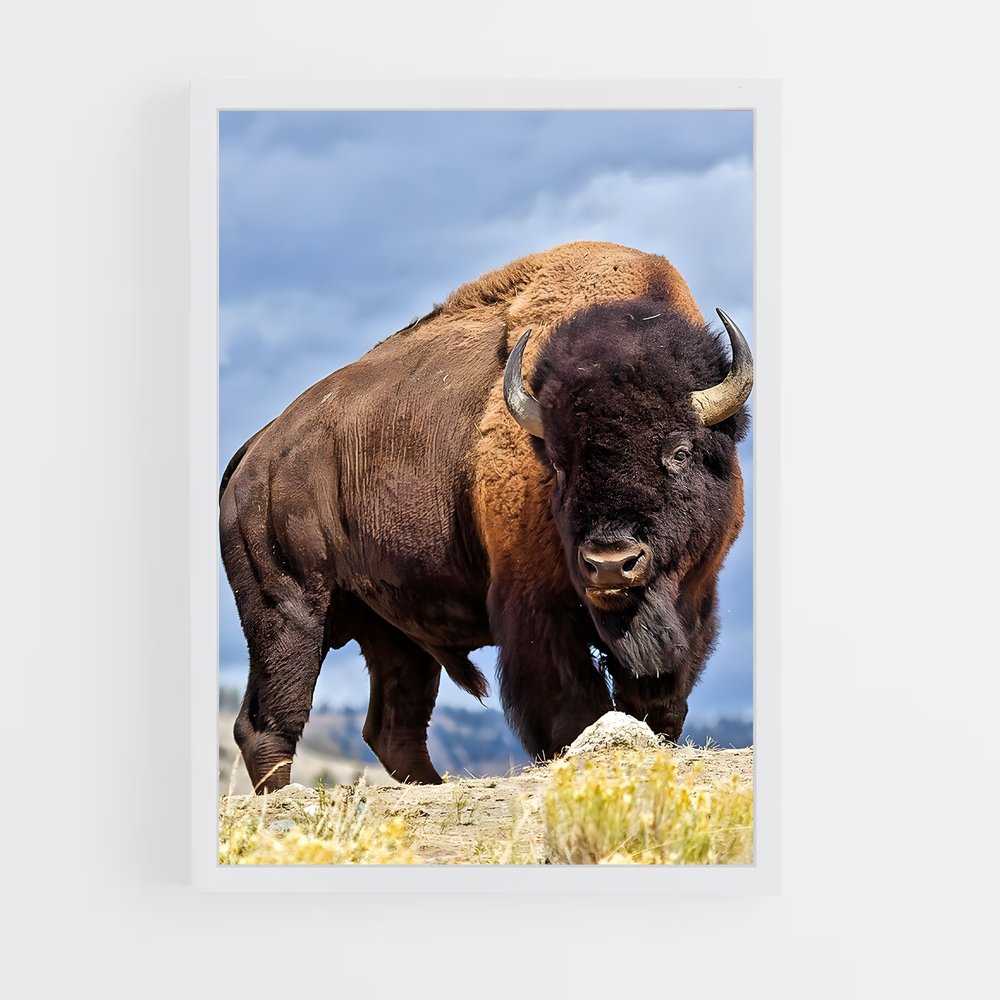 ap-buffalo-6 cadre Blanc