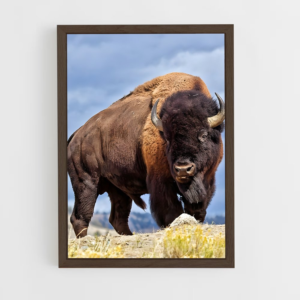 ap-buffalo-6 cadre Bois foncé